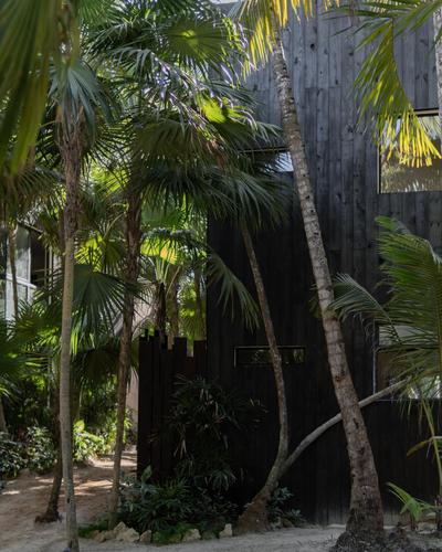 UMi Tulum