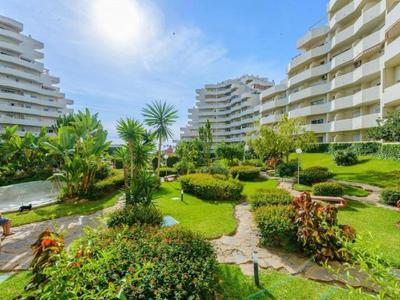 Benalbeach Zafiro by C&N