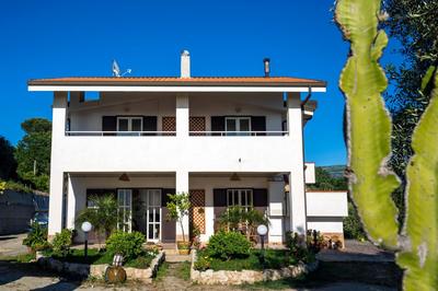 The Olive Tree - Seaview Apartments