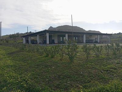 Villa Degli Oleandri