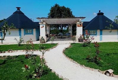 Trullo Iris