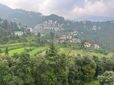 The Asha Residency - Majestic Mountain View , Shimla