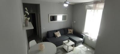 Lovely Apartment in Pedregalejo