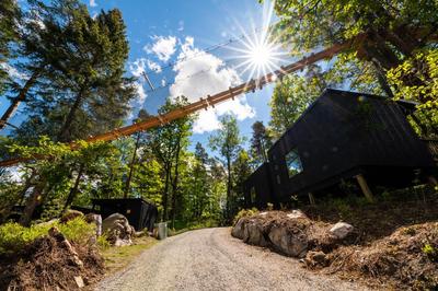 Juliusskogen
