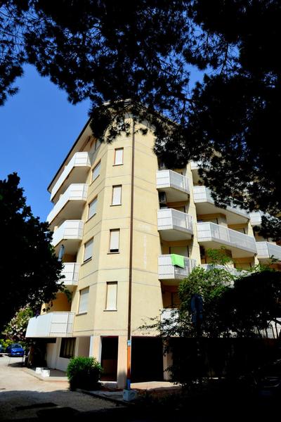 Luminous flat 80m from the beach - Beahost