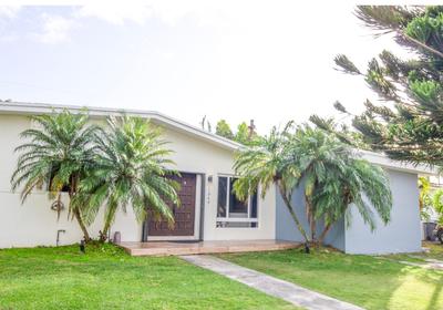 Dreampoolhousemiami