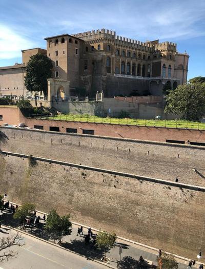 MUSEUM DAY VATICAN