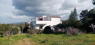 Asinara