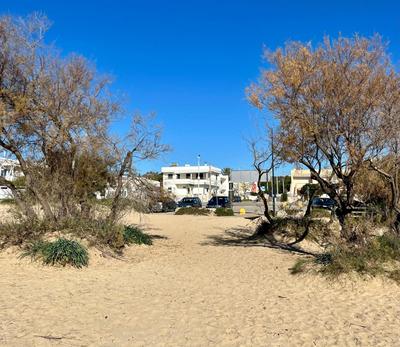 Front Beach Apartments Rose Superiore