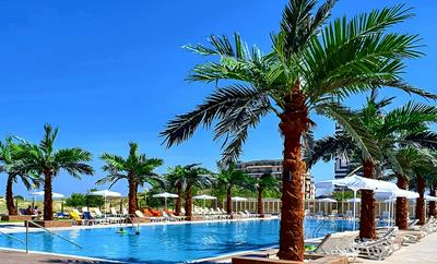 Europe Hotel & Casino All Inclusive