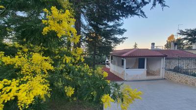 MERCADANTE - Luxury Holiday House