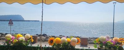 Hause Luisa photo 5