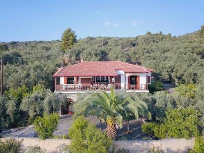 Olive Grove House