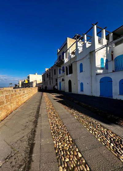 Darrere del port