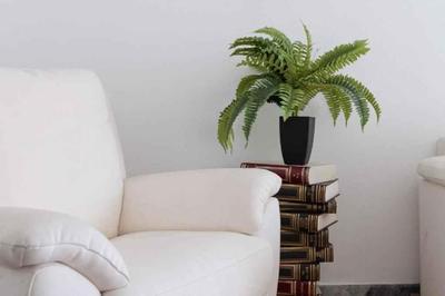 Apartment in Alassio - Ligurische Riviera 48200