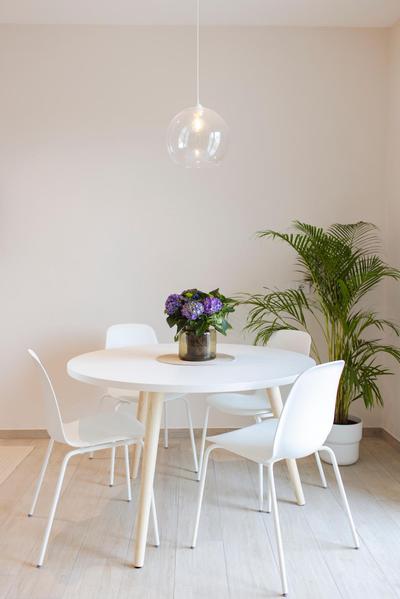 Green Apartments a Igea Marina - jungle