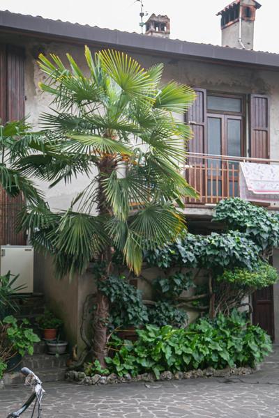 Alla Fiera apartment