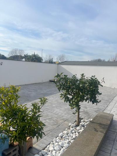 Villa Delfina