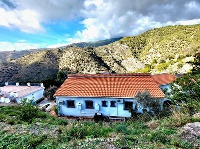 Finca Floretta