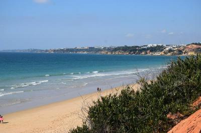 One bedroom apartement with shared pool terrace and wifi at Albufeira 4 km away from the beach