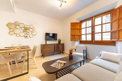 Charming 2 Bedroom Apartment at San Marcos Plaza by OCityzen