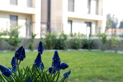 residence borgo secolo