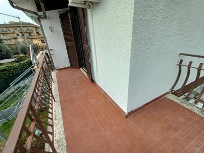My Dream Apartments