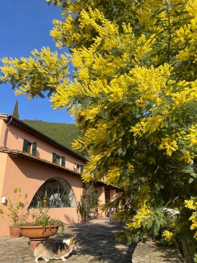 Villino Glicine