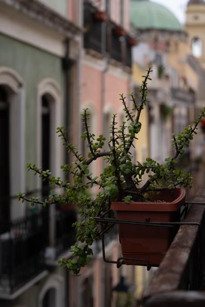 Trinità UrbanHaven - Cuore di Cagliari