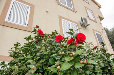 Apartments Savić