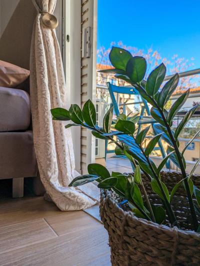 Cozy Apartment