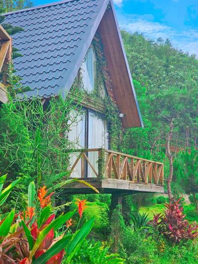 Larita Đồi Cỏ Mơ