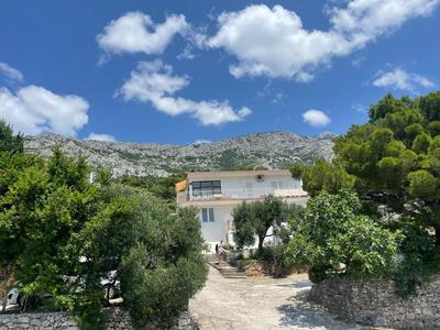 Olive View Apartment Brela - pet friendly