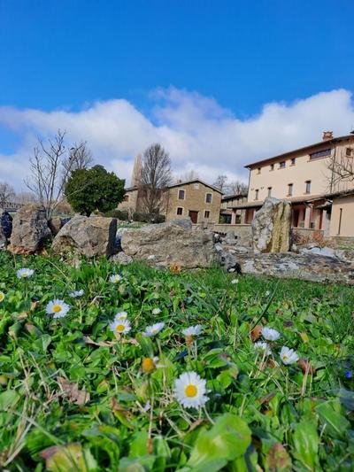 Agriturismo Le Case