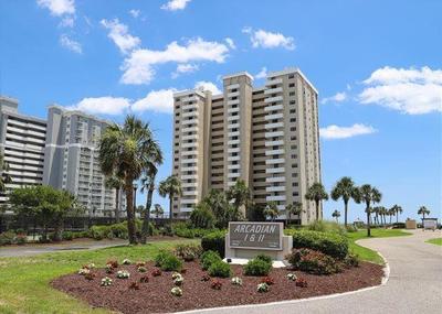 Vision of the beach - phf