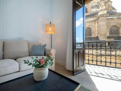 Bright and Elegant Gran Via apartments