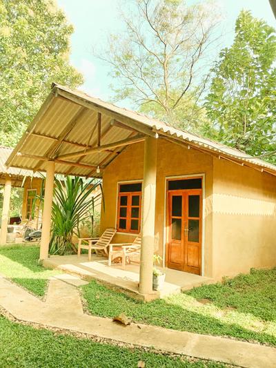 Monkey Jungle Cottage