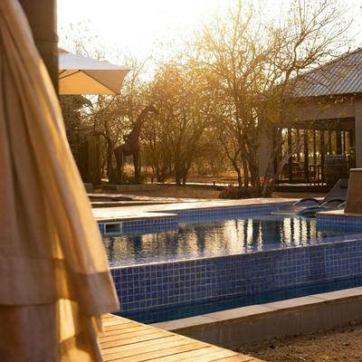 The Baobab Bush Lodge