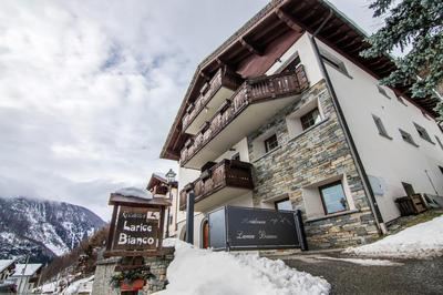 Residence Larice Bianco App n4