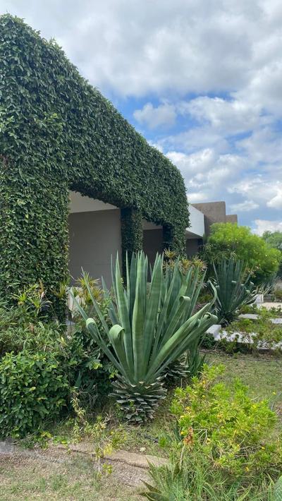 QHAWANA CABAÑAS & SUITES
