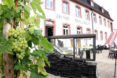 Hotel- Weingut- Moselloreley