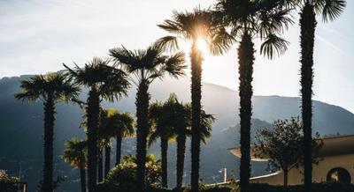 Eden Roc Marina Hotel