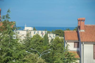 Three bedroom apartment Milohanic IV