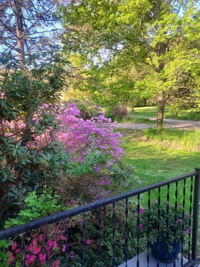 Garden retreat