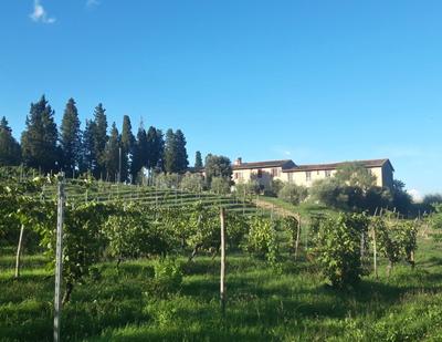 Agriturismo Fattoria le caprine