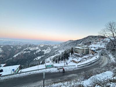 Treebo Shimla Ayurvedic Retreat, Kufri - Pure Veg