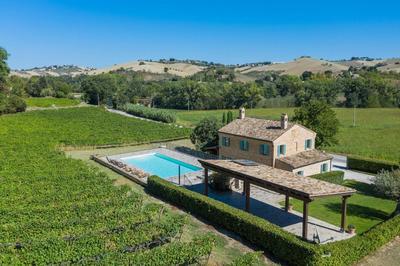 Casale Vigneto
