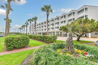 Tipsea on the seawall