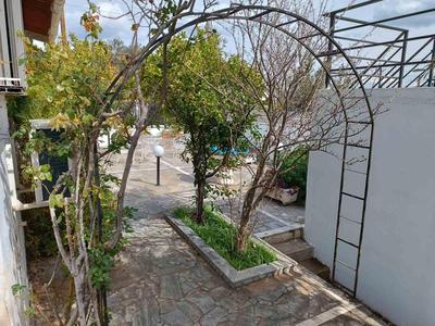 Oli's Sea House