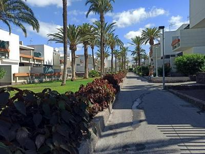 NICE STUDIO IN THE SOUTH OF TENERIFE IN THE COSTA DEL SILENCIO